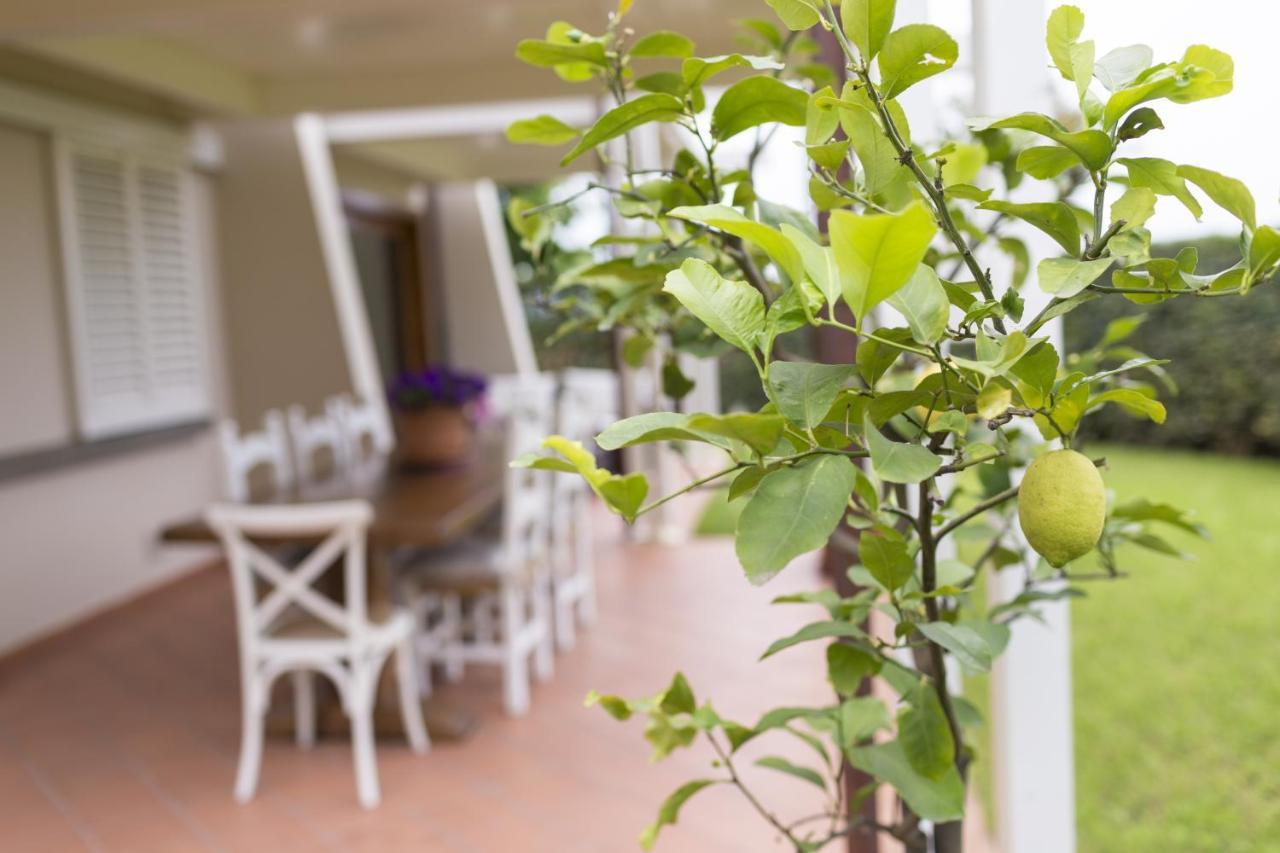 B&B Cava Rossa Monsummano Terme Dış mekan fotoğraf